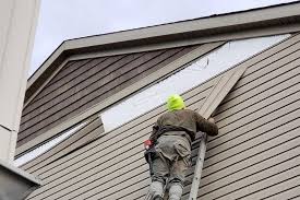 Best Steel Siding Installation  in Hydesville, CA